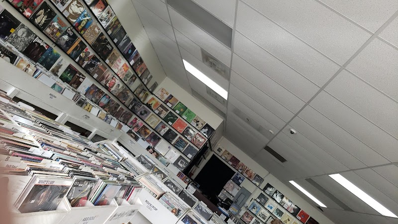 Hippo Records - Photo 5