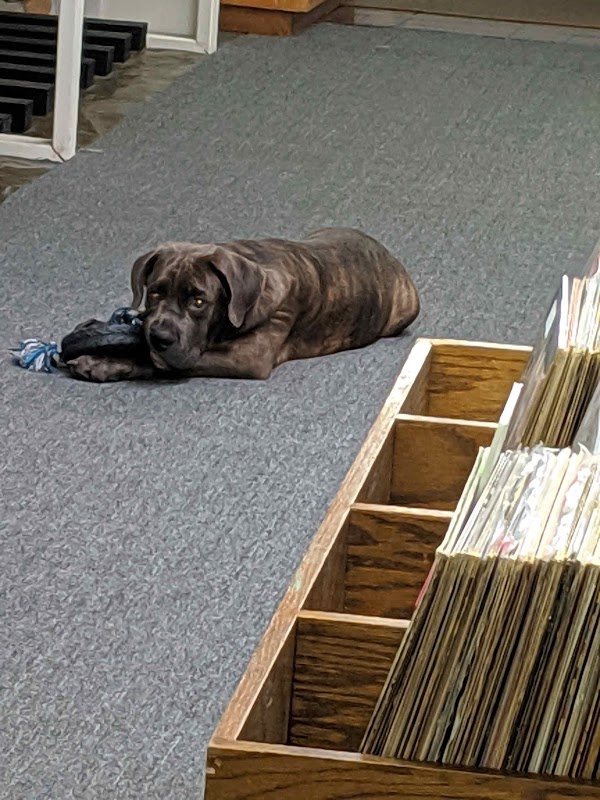 Game Heads & Vinyl Junkies - Photo 3