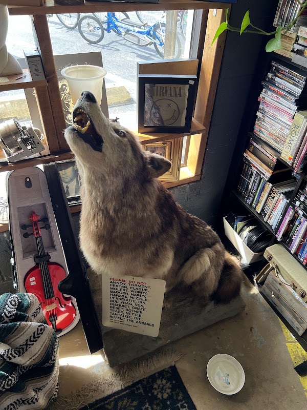 Wino Records - Photo 5