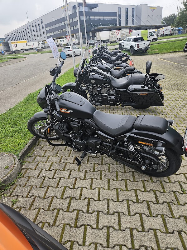 Wild Woody's Records and More - Photo 4