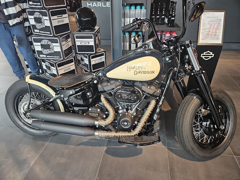 Wild Woody's Records and More - Photo 5