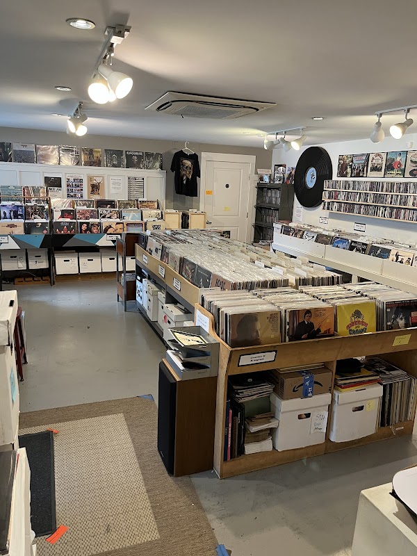 Gray Cat Music - Photo 5