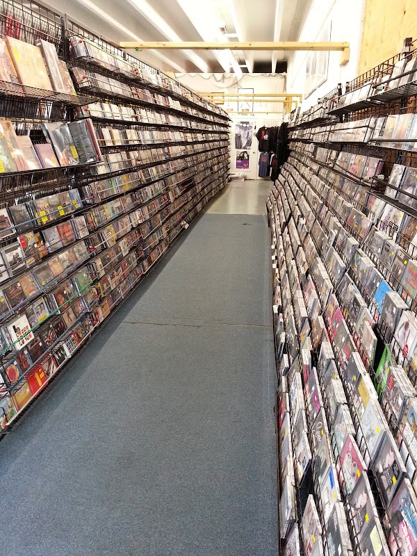 Music Gator - Photo 2