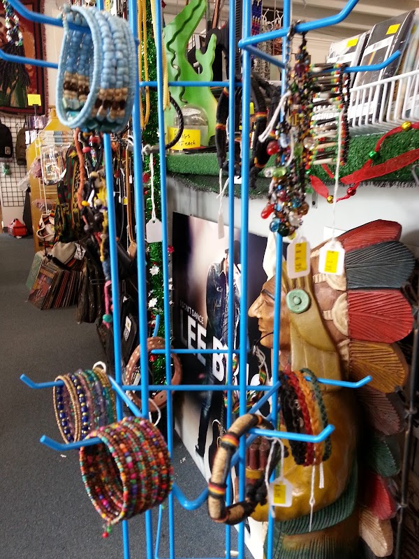 Music Gator - Photo 4