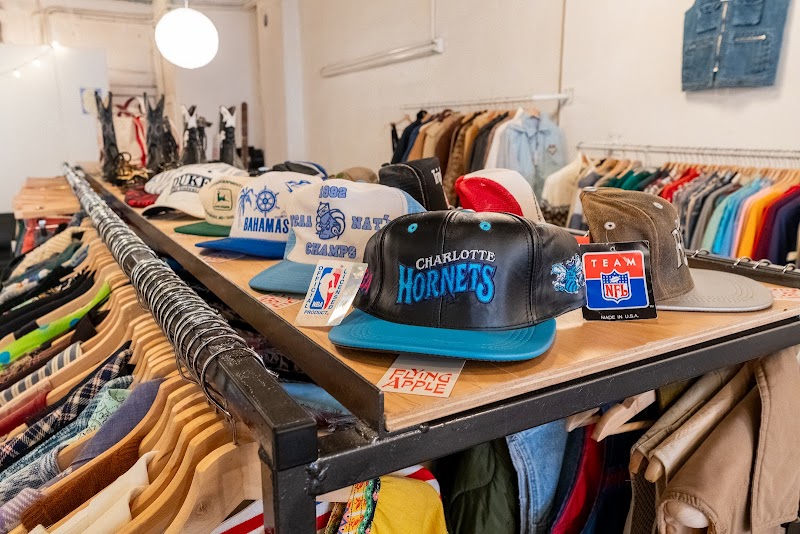 The Fuzzy Needle - Photo 4