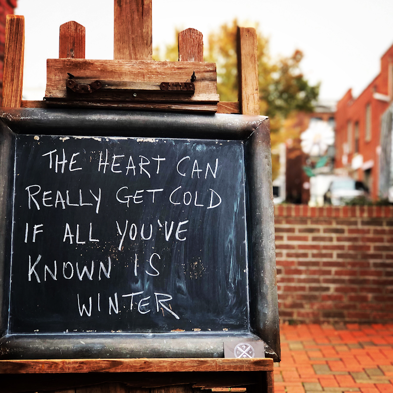 Lost & Found - Photo 4