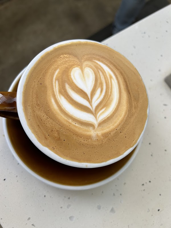 Citizen Vinyl - Photo 5