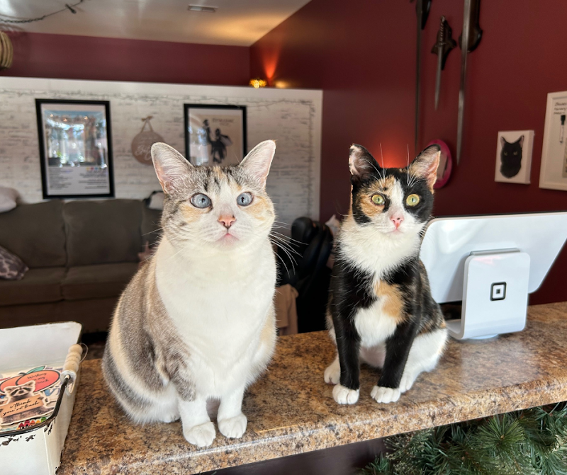 Cozy and Content - Photo 2