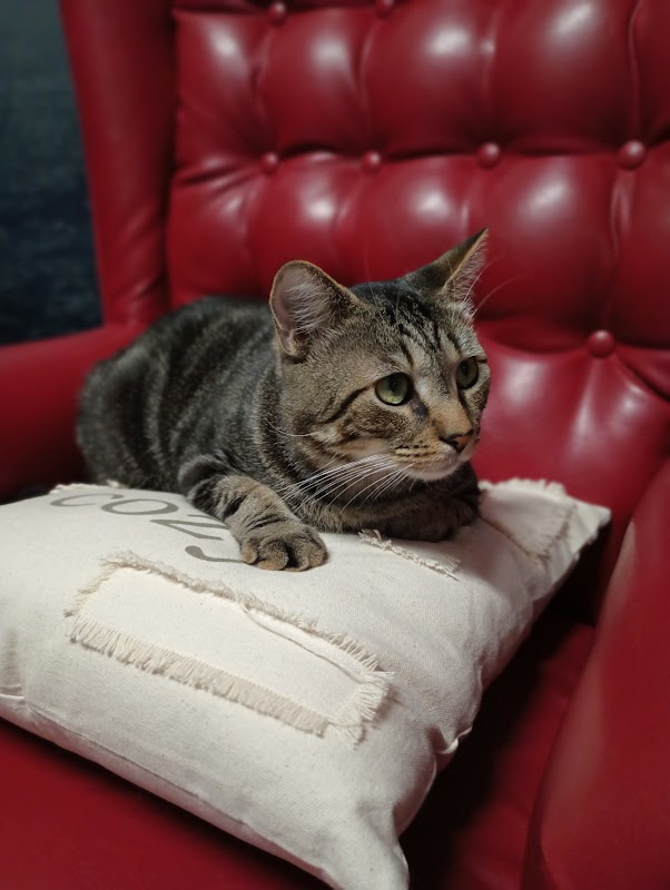 Cozy and Content - Photo 3