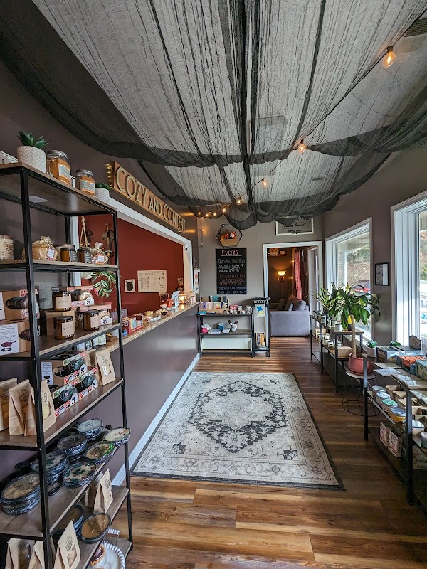 Cozy and Content - Photo 5